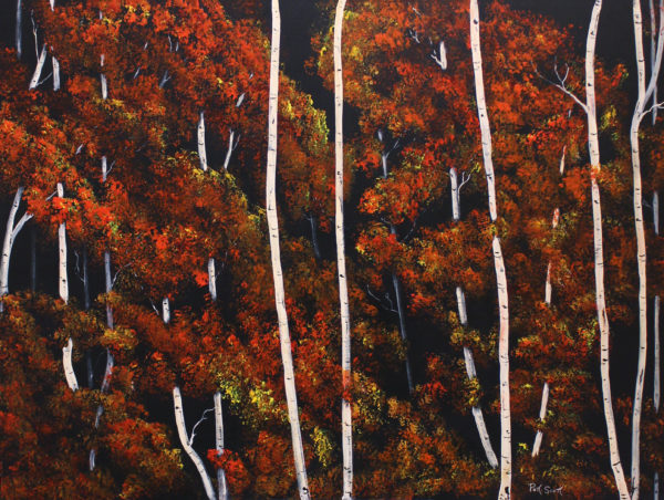 Birch Trees In Fall - Painting - Deep Canvas 36x 48 Acrylic