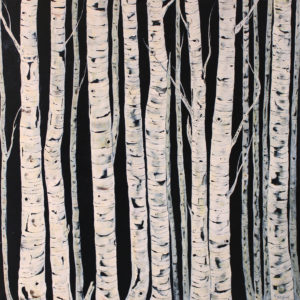 Birch Trees - Painting - Deep Canvas 40 x 40 Acrylic