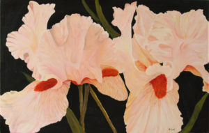 Pink Iris acrylic painting deep canvas