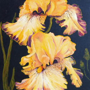 Orange Iris acrylic painting deep canvas