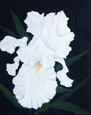 Dance of the Iris acrylic painting deep canvas