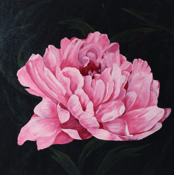 Pink Peony acrylic painting deep canvas
