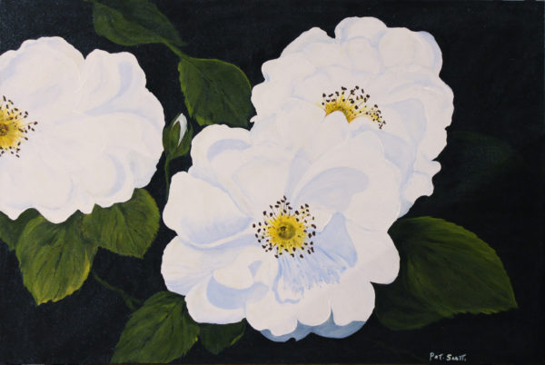 Cherokee Rose acrylic painting 2' x 3'