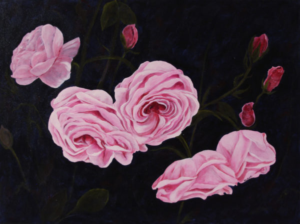 China Rose Deep Canvas acrylic painting