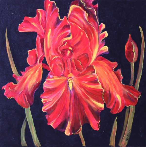 Red Iris acrylic painting deep canvas